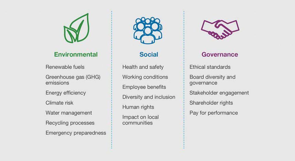 Importance of business environment